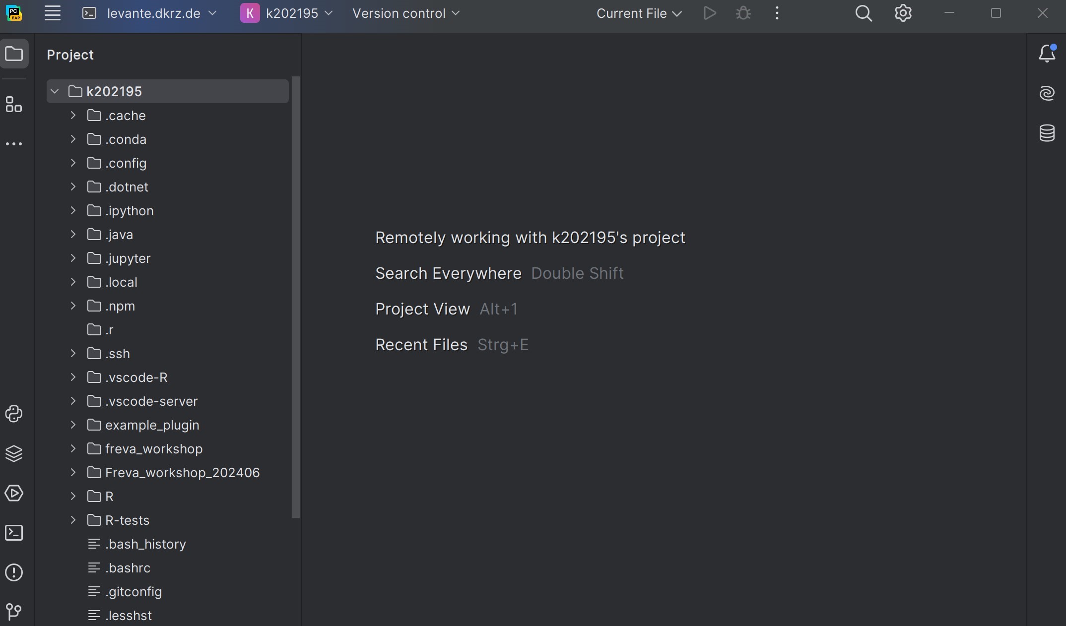 Image depicting the remote IDE window, after successfully installing it to the remote host